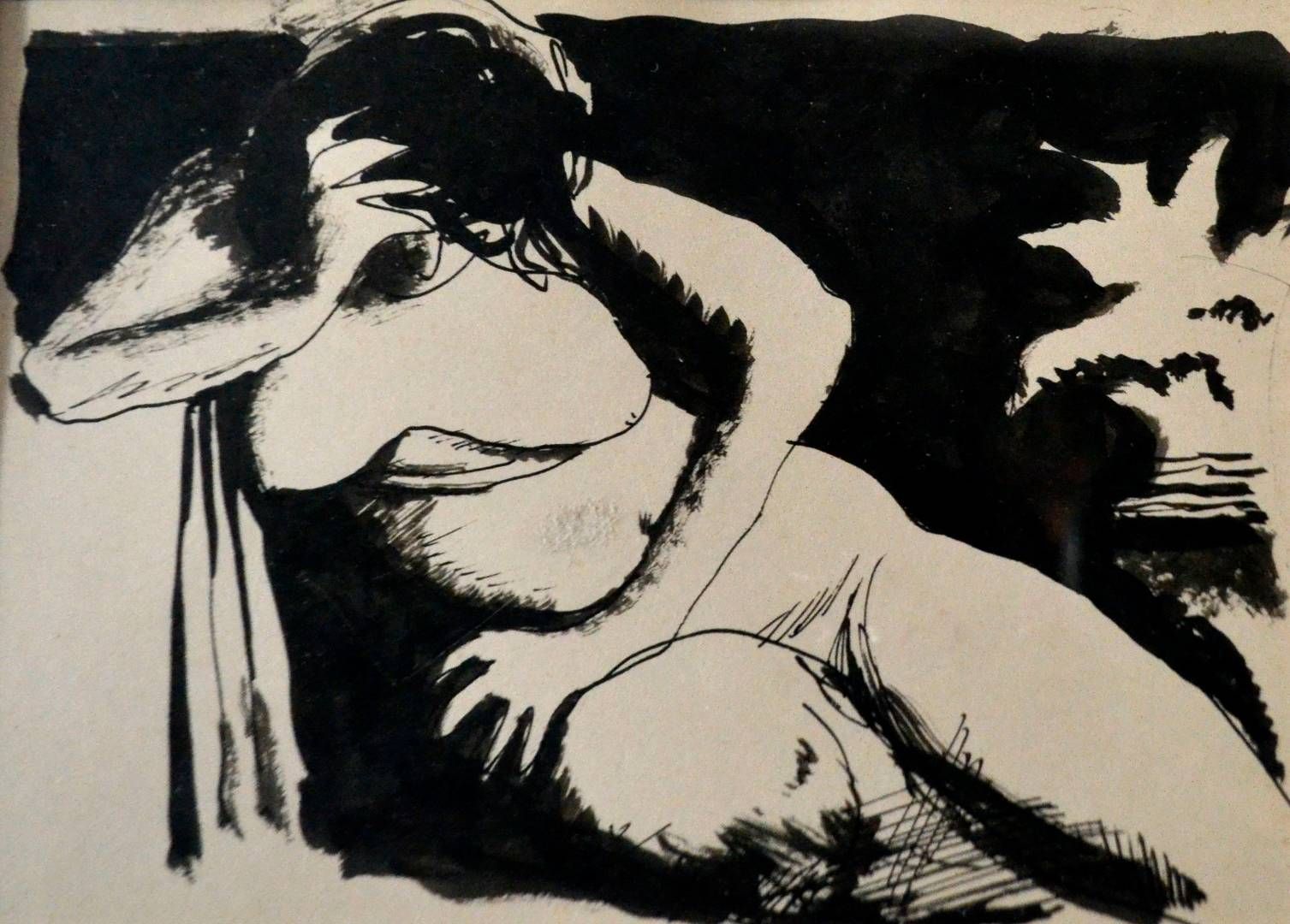 Vladimir Pavoković: Akt